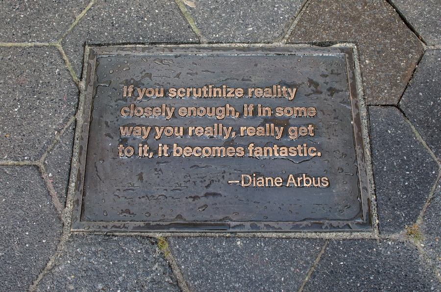 Gillian Wearing, Diane Arbus 18
