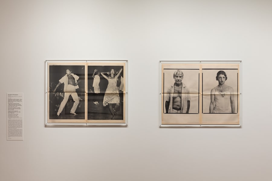 Subscribe: Artists and Alternative Magazines, 1970-1995 12