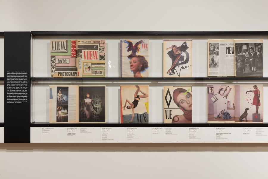 Subscribe: Artists and Alternative Magazines, 1970-1995 11