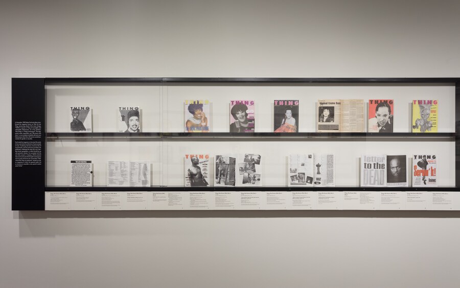 Subscribe: Artists and Alternative Magazines, 1970-1995 7