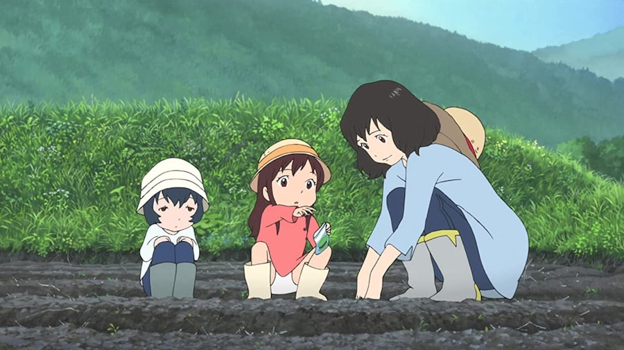 Mamoru Hosada 8