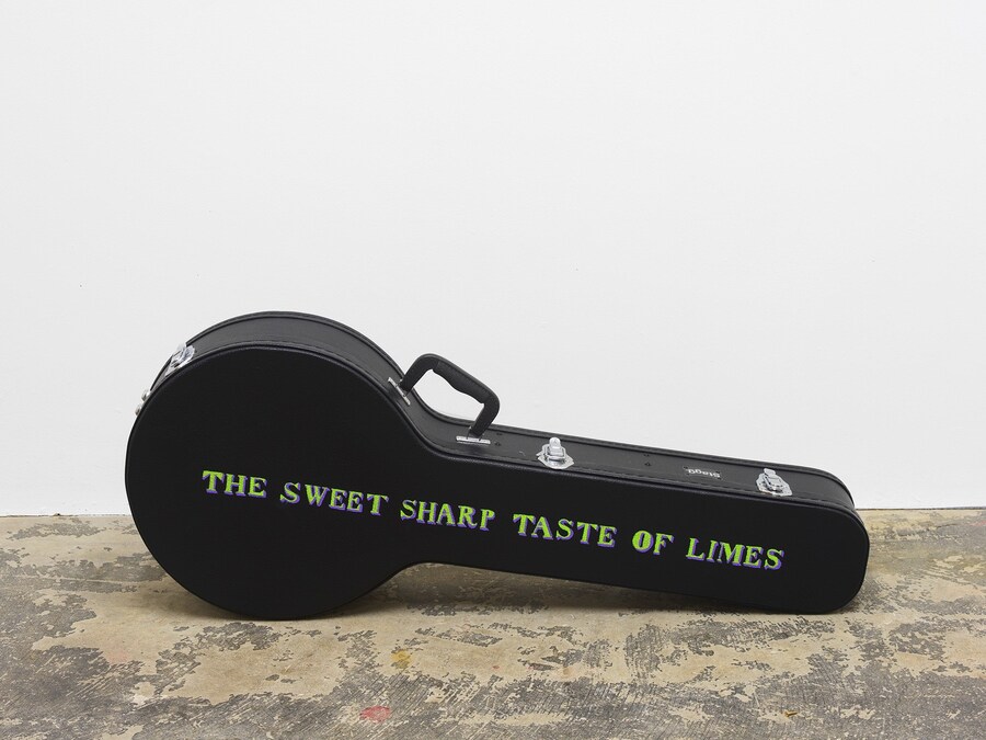 The Sweet Sharp Taste of Limes - photo-by-Andy-Kea 2