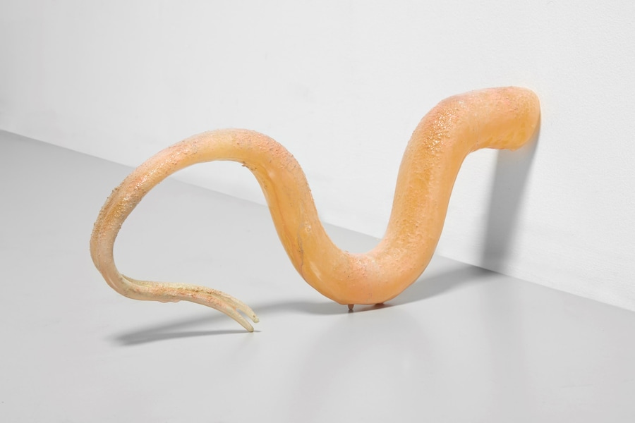 Olivia Erlanger, “Ophidio (Flesh)”, (2020) 5