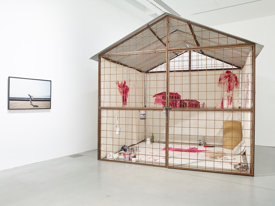 Nikhil Chopra, “La Perla Negra: Plaza de Armas” (2015) 8