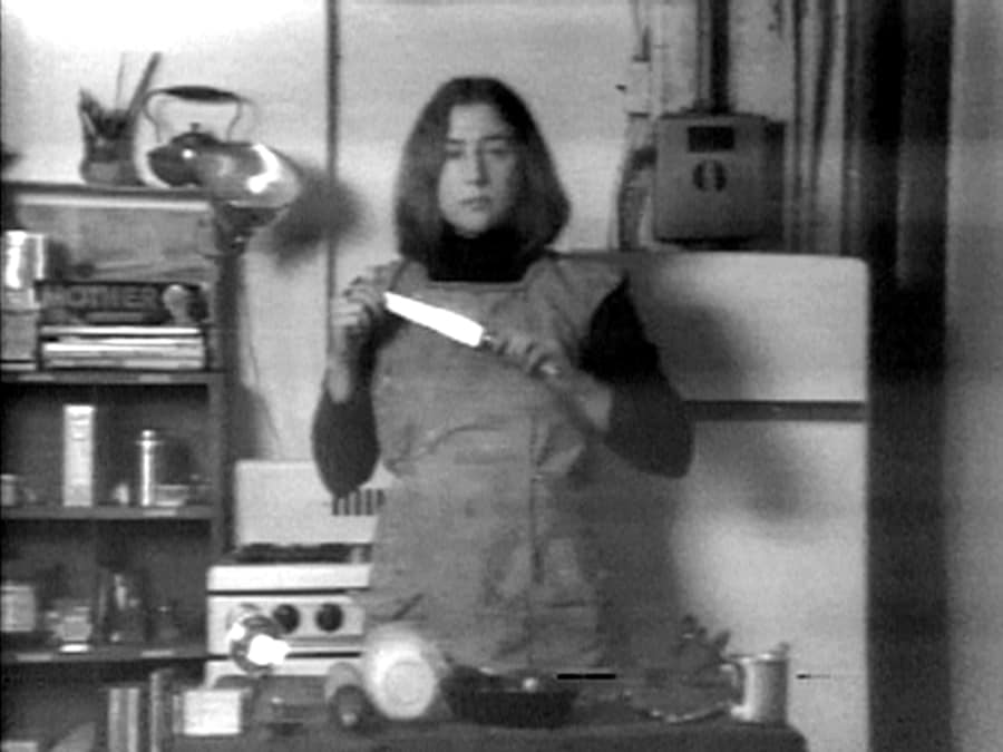 Martha Rosler , “Semiotics of the Kitchen” (1975) 14