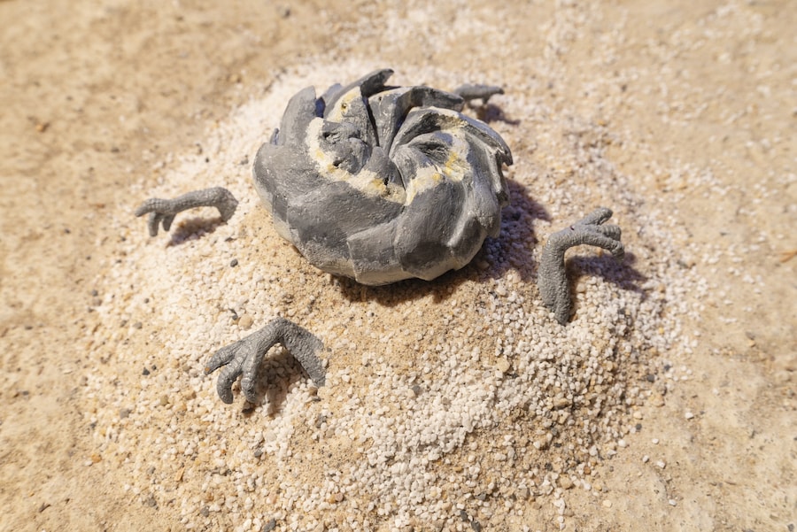 &quot;AxSys Seer Stone 1&quot; by Ben Sang 0