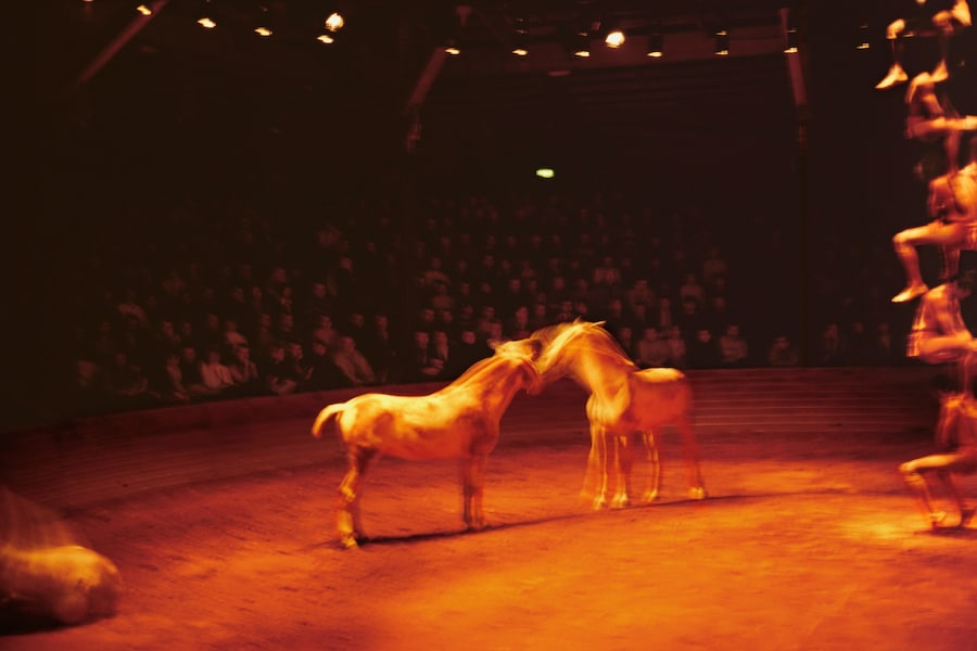 Nan Goldin, “Horse Circus, Paris” (2004) 3