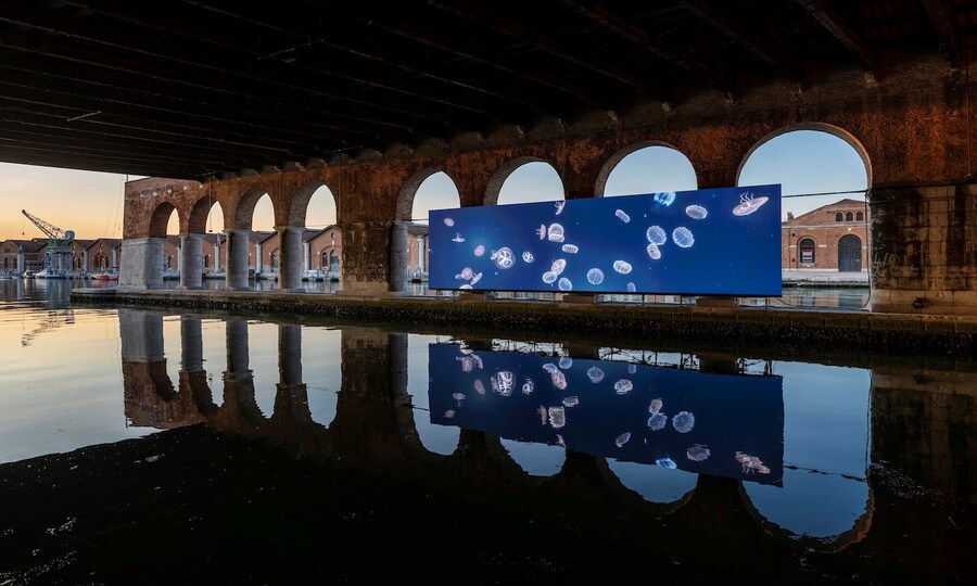 Wu Tsang of Whales exhibition Venice Biennale 0
