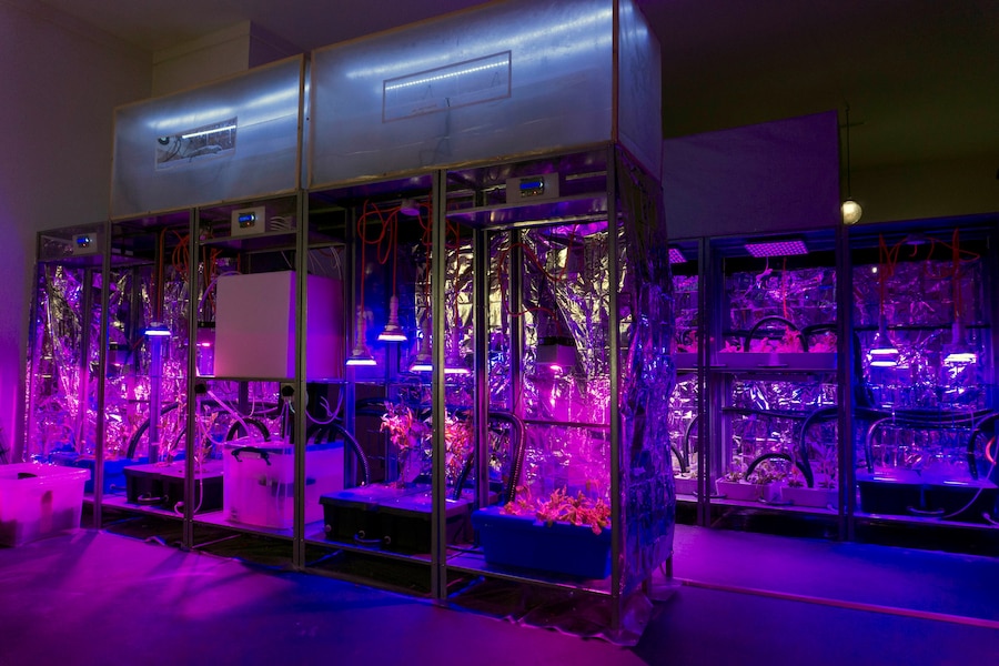Superflux, “Mitigation of Shock” (London) (20190 4