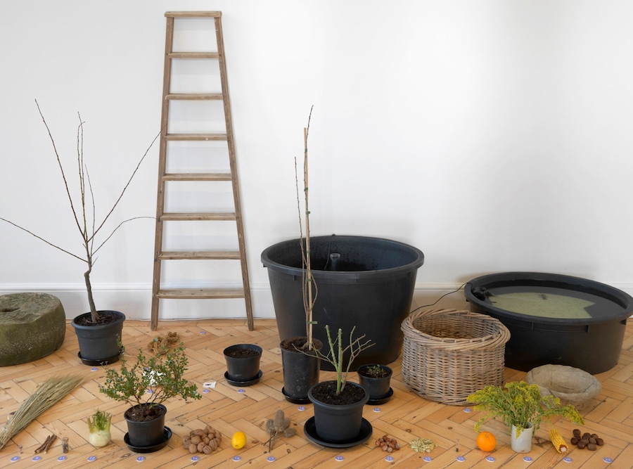 Ruth Ewan, “Back to the Fields” (2015) 21