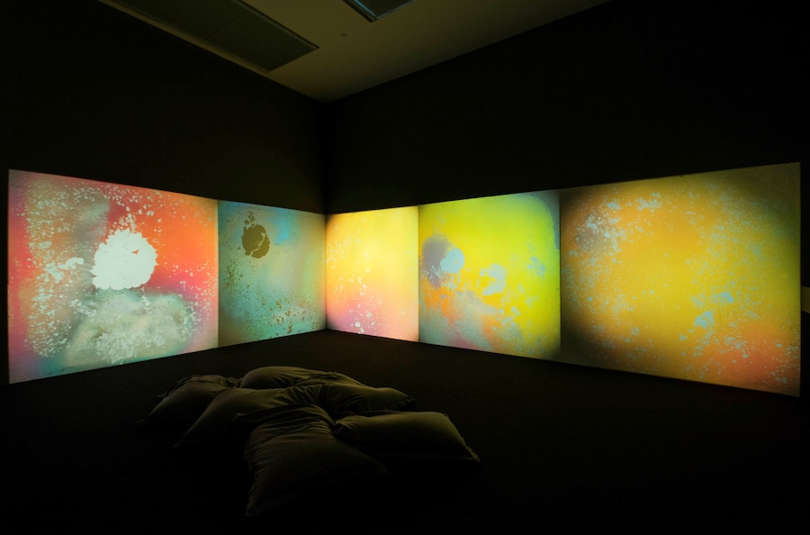 Gustav Metzger, “Liquid Crystal Environment” 25