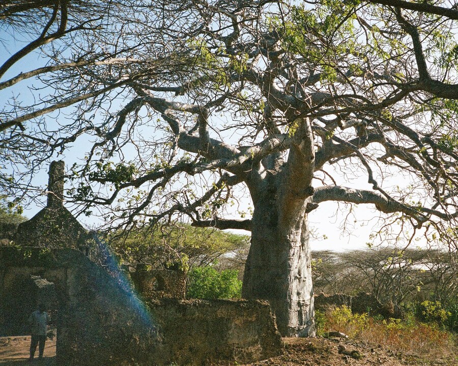 AASAI 13