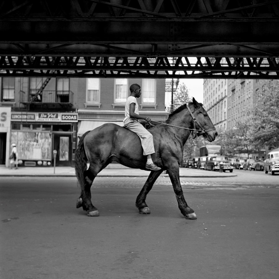 Vivian Maier, New York (1953) 0