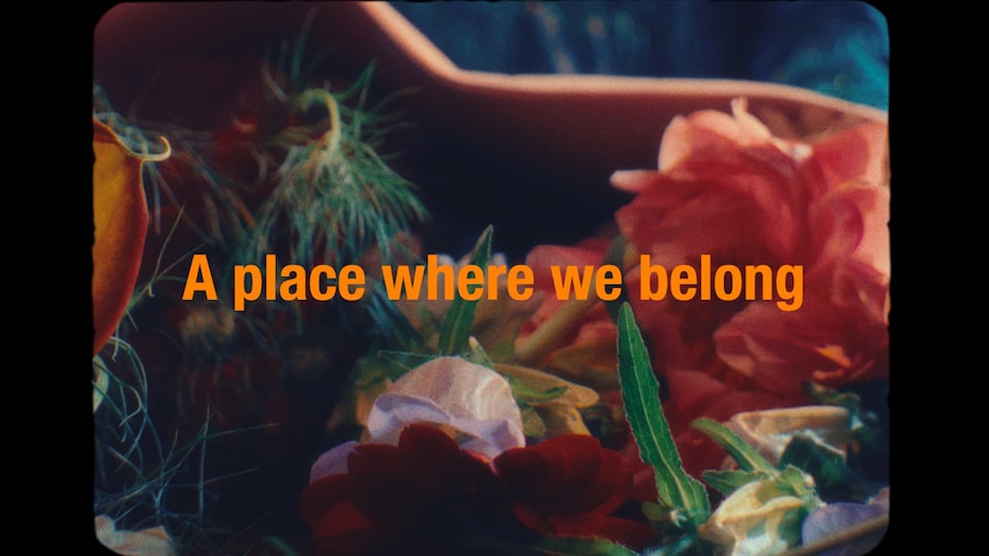 In A Place Where We Belong 2
