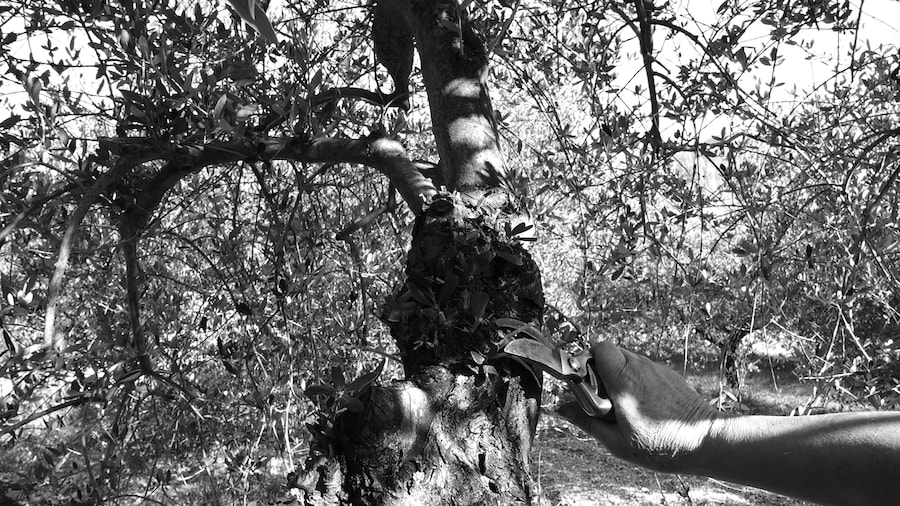 Susan Meiselas &amp; Marta Gentilucci, Cartographie du Corp 7