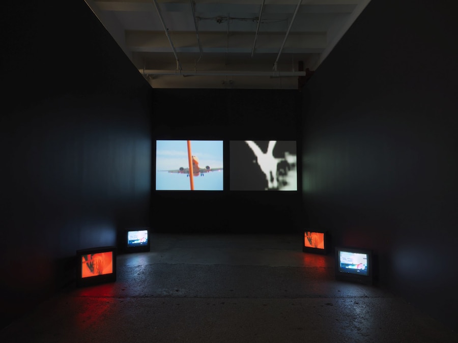 Carolee Schneemann, “Devour” (2003–04) 12