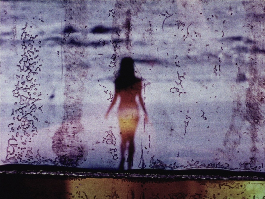 Carolee Schneemann, “Fuses” (1964-67) 15