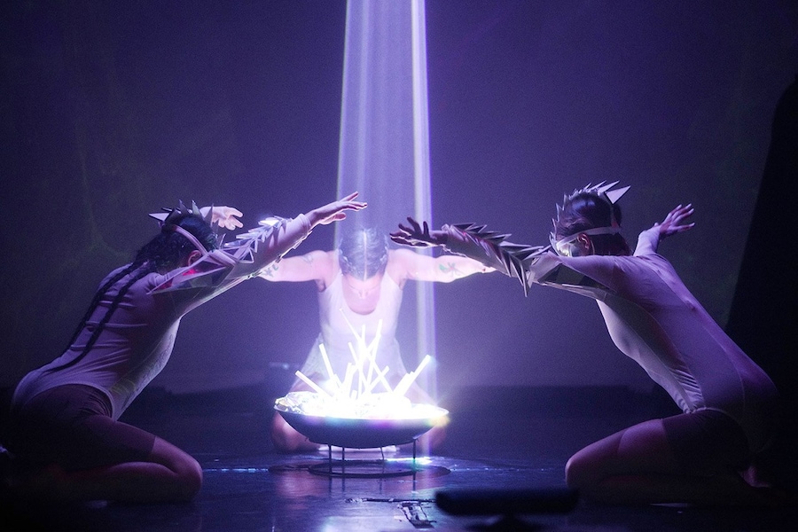Carolee Schneemann, “Transcendence” 16
