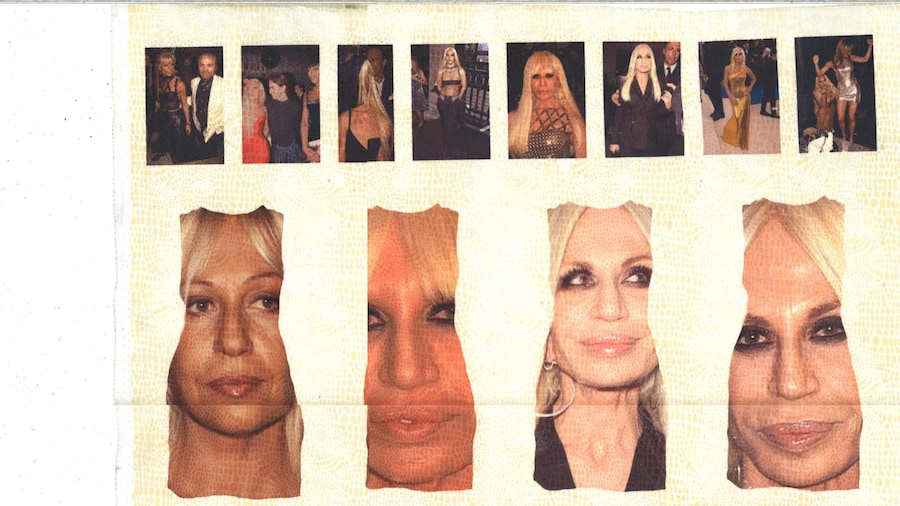 Daniel Bosco Donatella Versace 0