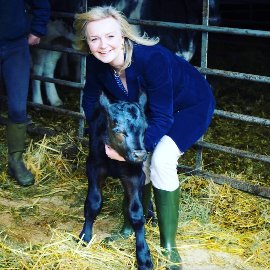7 of Liz Truss’ most iconic outfits 1