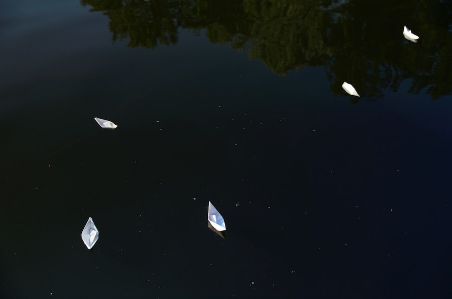 Fragile Dream 12