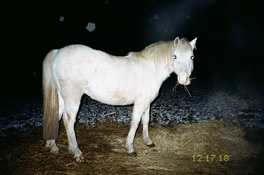 Marie Tomanova, “First Night Home” (2018) 9