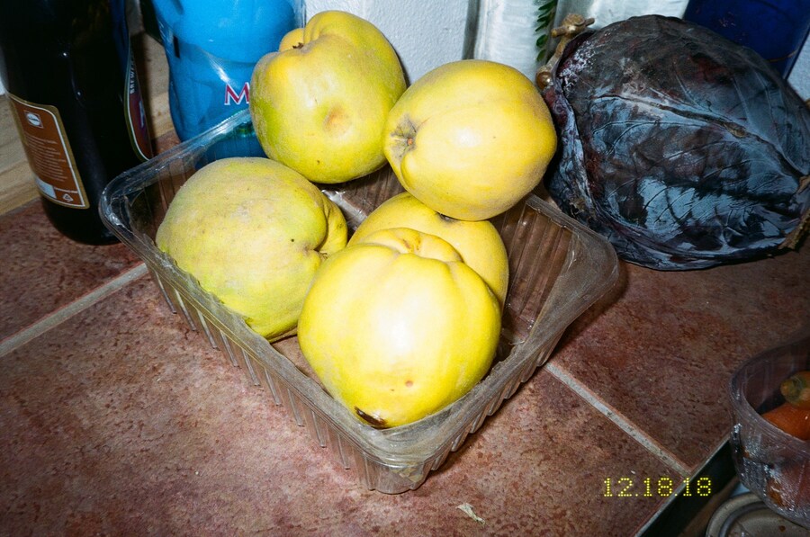 Marie Tomanova, “Apples on Steps” (2018) 11
