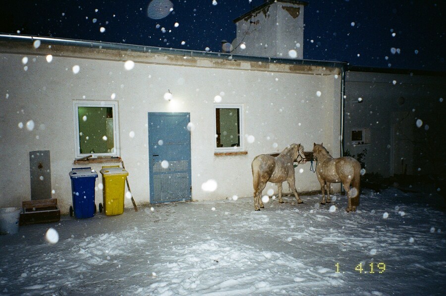 Marie Tomanova, “Memories of Snowing Stars” (2018) 19