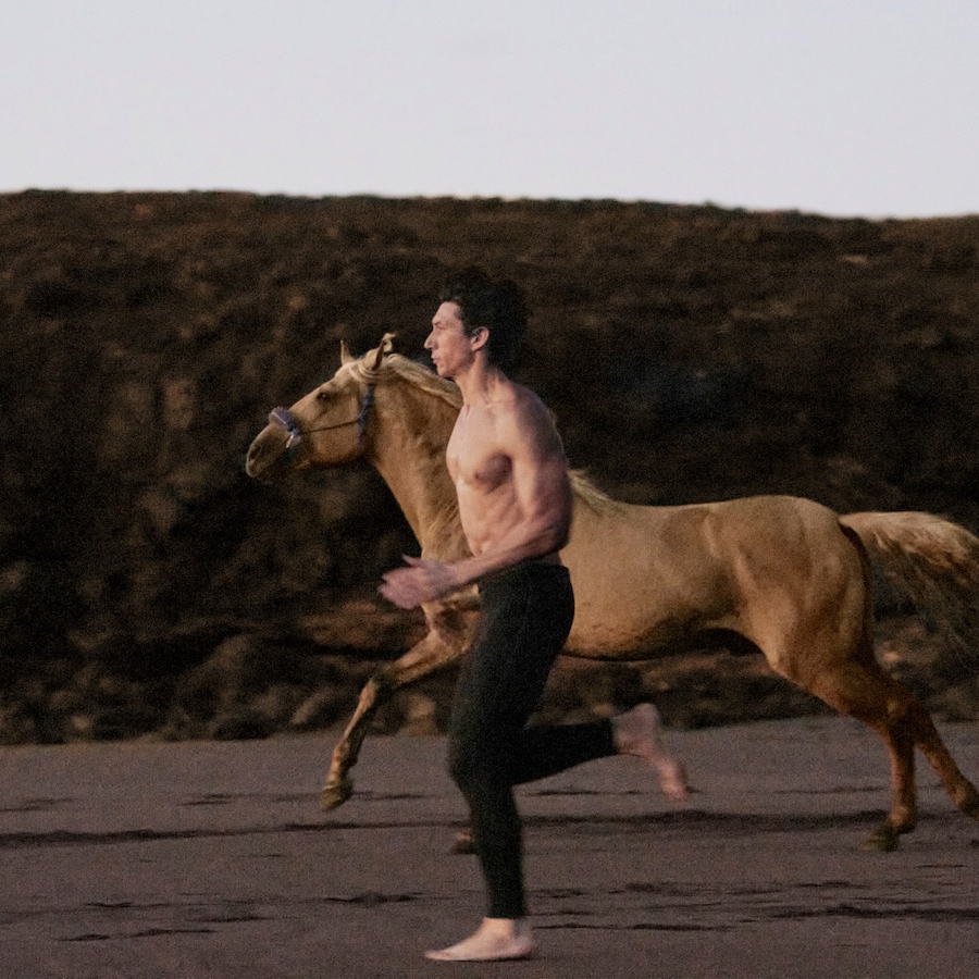 adam driver burberry hero 1