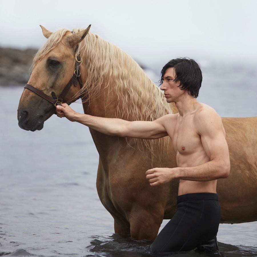 adam driver burberry hero 2