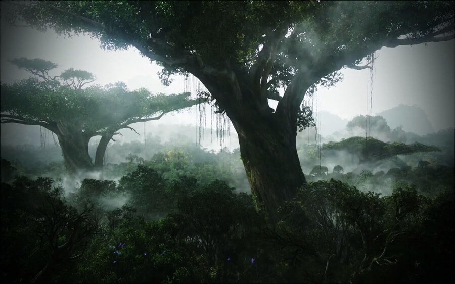 Home trees in the Avatar forest