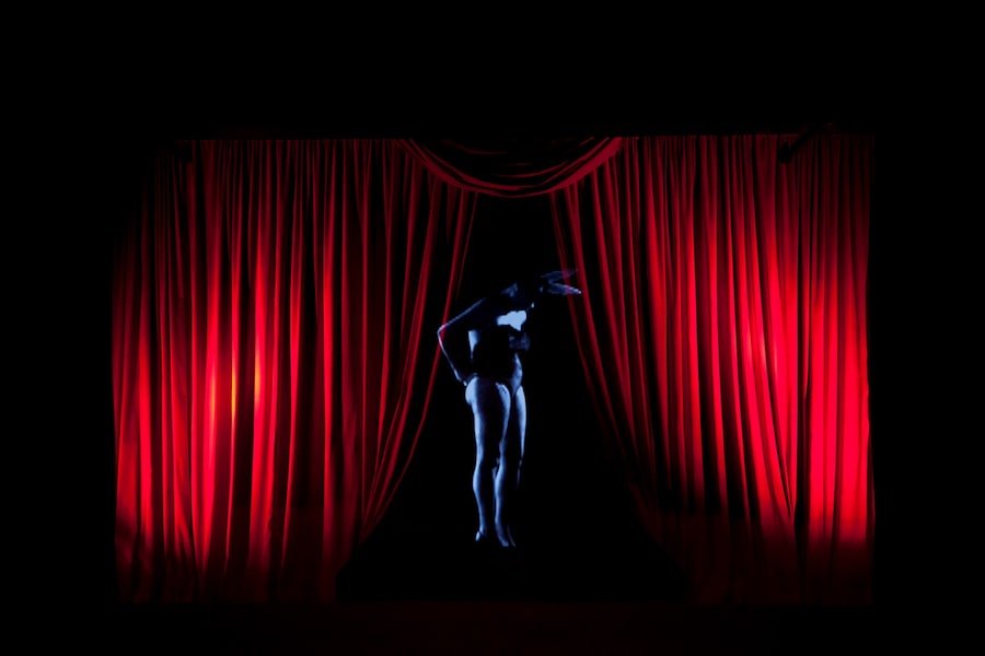 Carrie Mae Weems, “Lincoln, Lonnie, and Me” (2012) 9