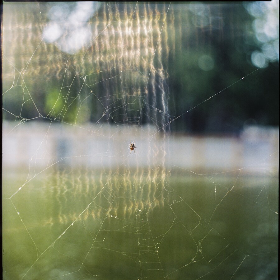 Zula Rabikowska, Nothing But a Curtain 20