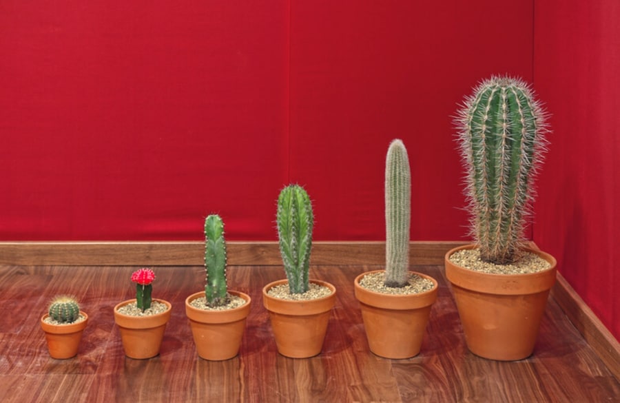 Martin Creed 6