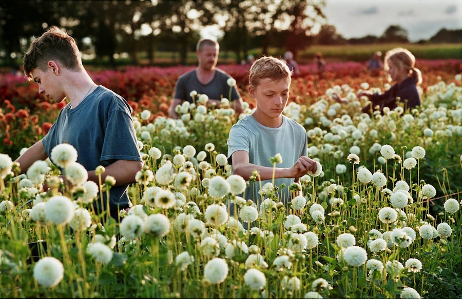 Close film Lukas Dhont L&#233;o R&#233;mi Eden Dambrine Gustav De Wael 0