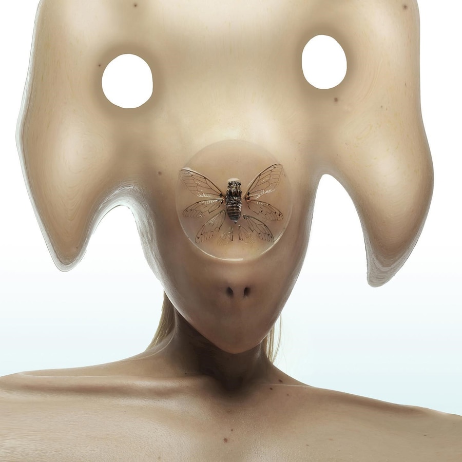 anthromorph 11