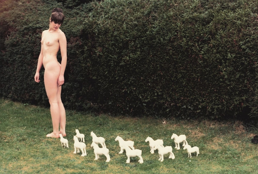 Rose English, “Porcelain Horses” 9
