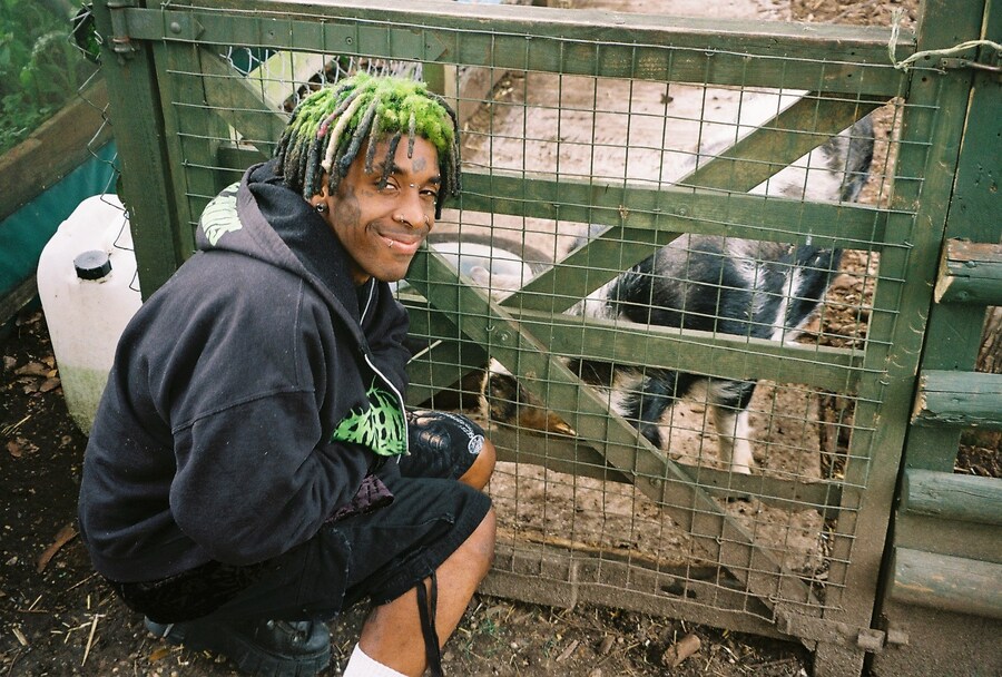 Deijuvhs hog 3