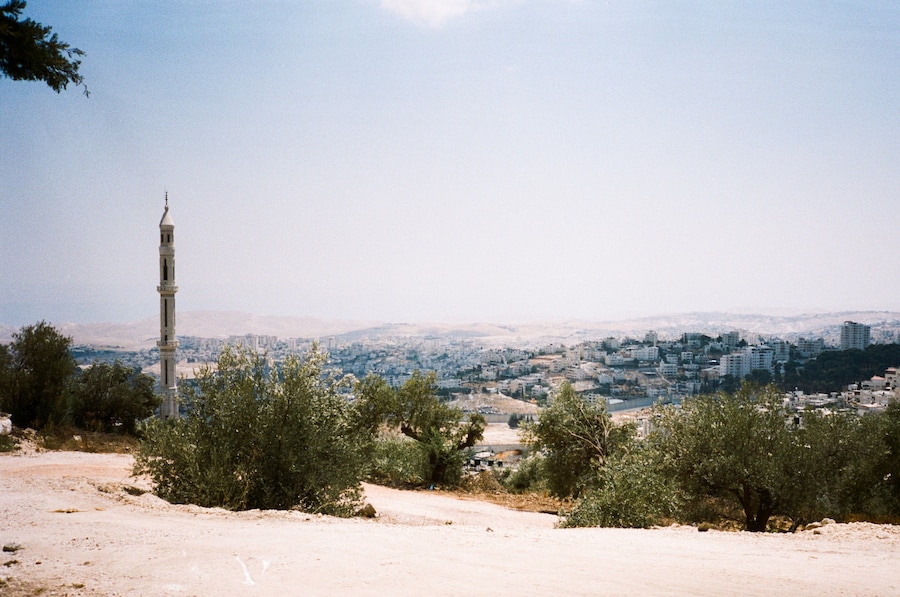 Adam Rouhana 7