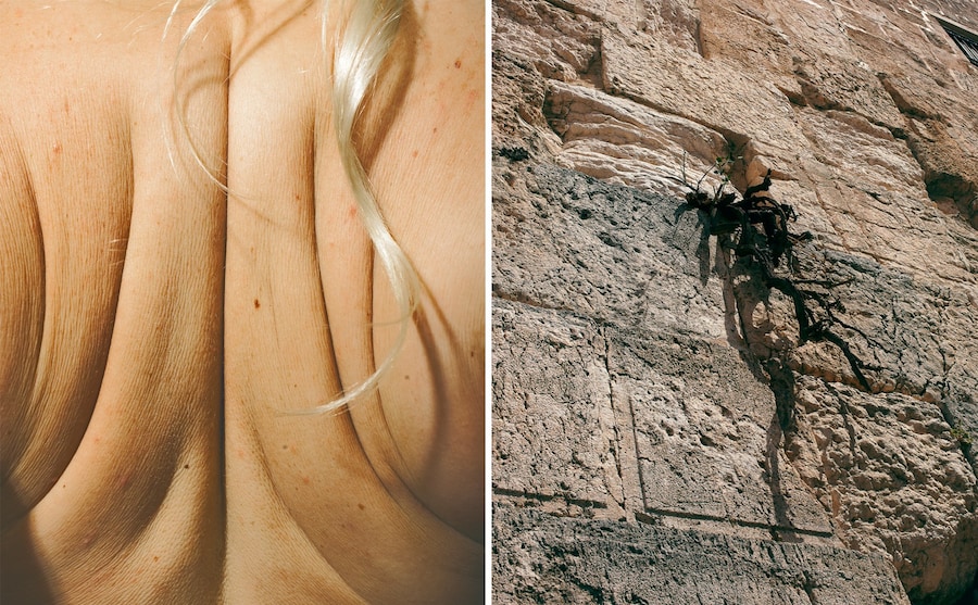 Melody Melamed, The Book of Skin: Shangri-la (2023) 19