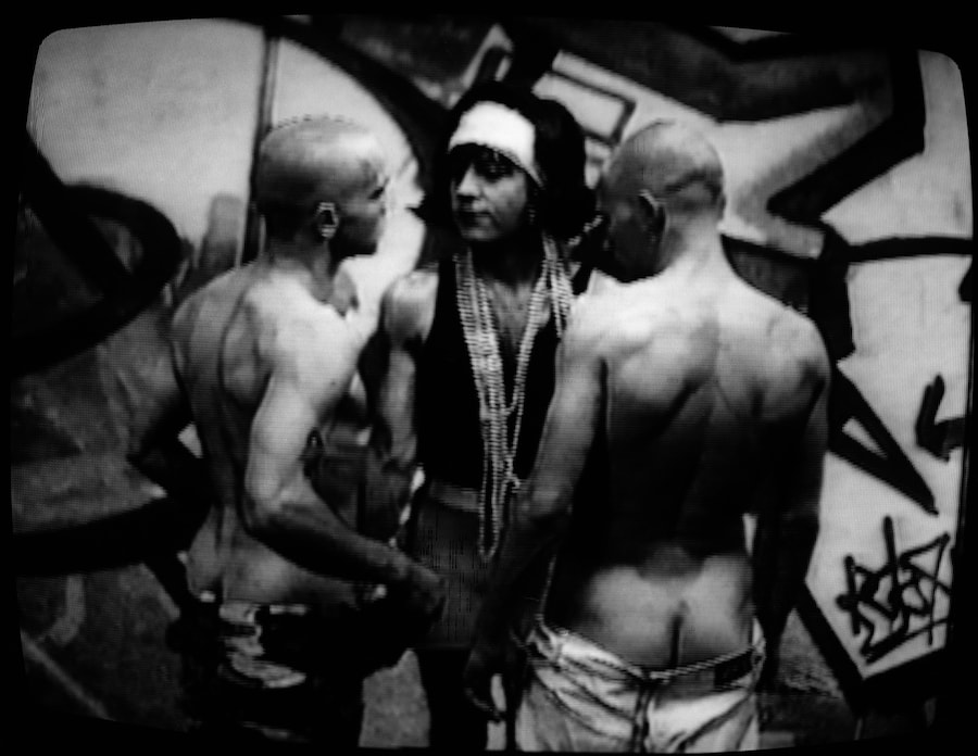 Bruce LaBruce, Hustler White (1996) 17