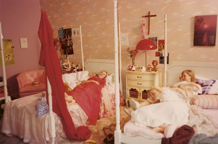 The Virgin Suicides 2