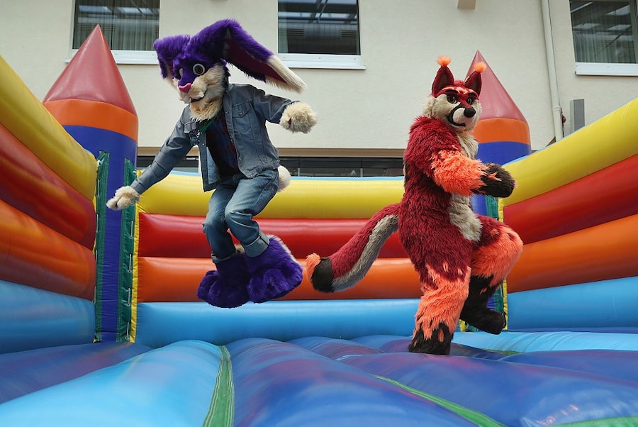 Furries 1