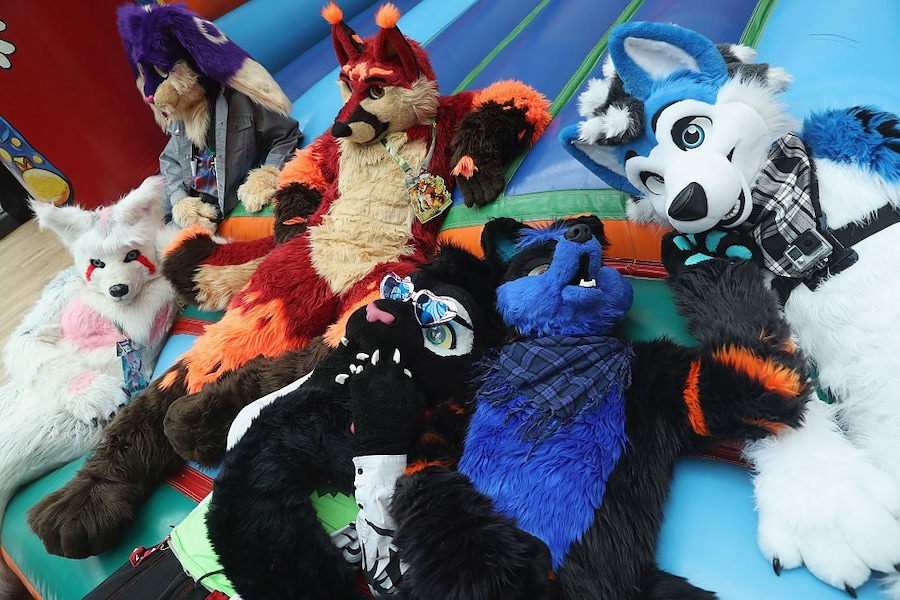 Furries 6