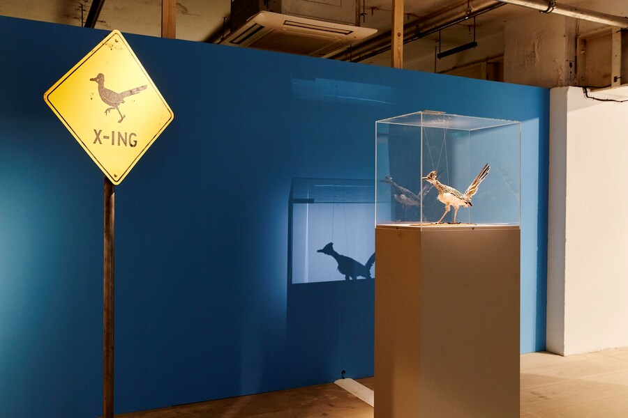 The Roadrunner, Asteroid City Exhibition, 180 Stud 15