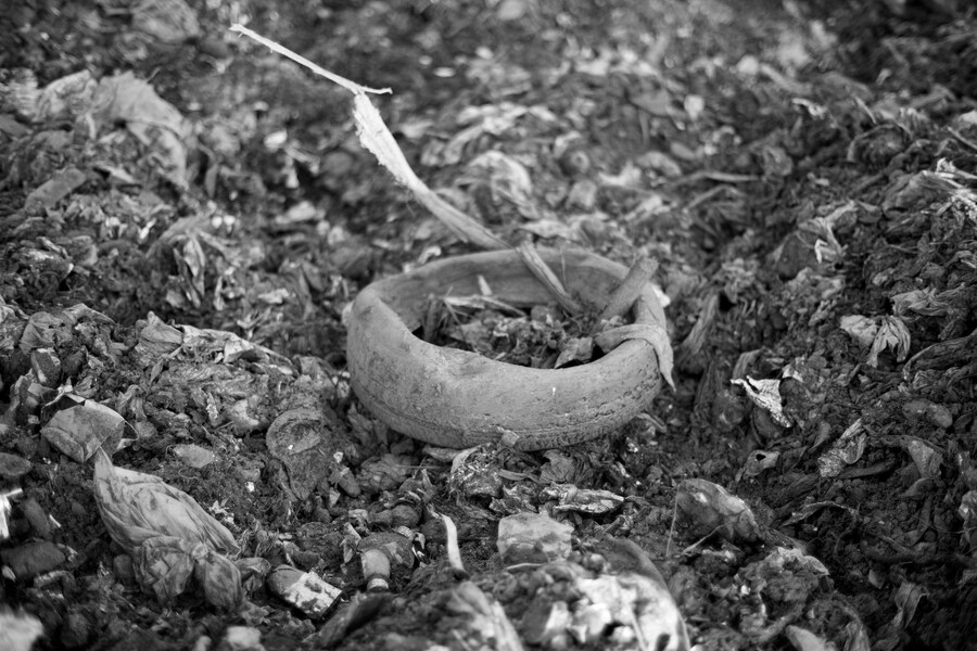 Mario Macilau, &quot;Thrush Tyre&quot; (2015) 11