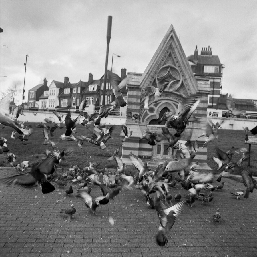 Alfie White, SE London (2022) 6