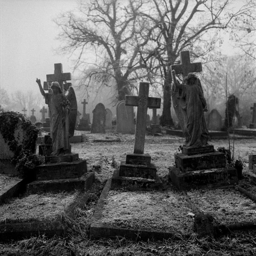 Alfie White, SE London (2022) 5