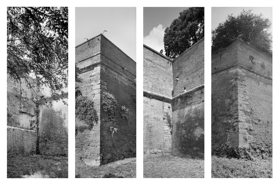 Catherine Opie, Walls, Windows and Blood (2023) 6