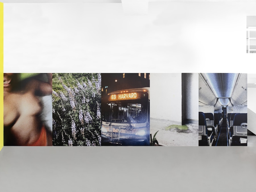 Installation_view__Martine_Syms__Present_Goo__Sadi 13